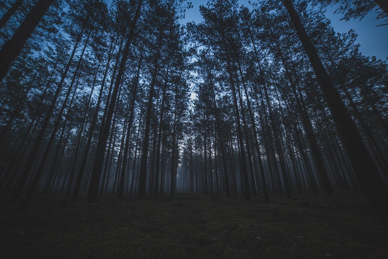 Yenibosna'da Eskort Taksi İle Gece Seyahati